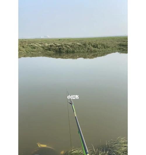 春季三月钓鱼技巧选钓位和时间是什么？如何选择最佳钓鱼时间和地点？