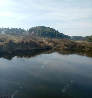 春季沙坑钓鱼技巧有哪些？如何提高春季沙坑钓鱼的成功率？