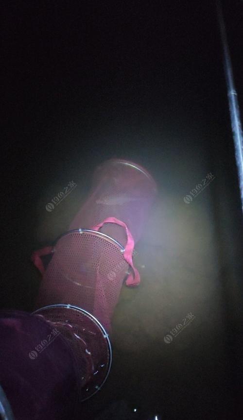 春季手竿夜钓技巧有哪些？如何提高夜钓成功率？