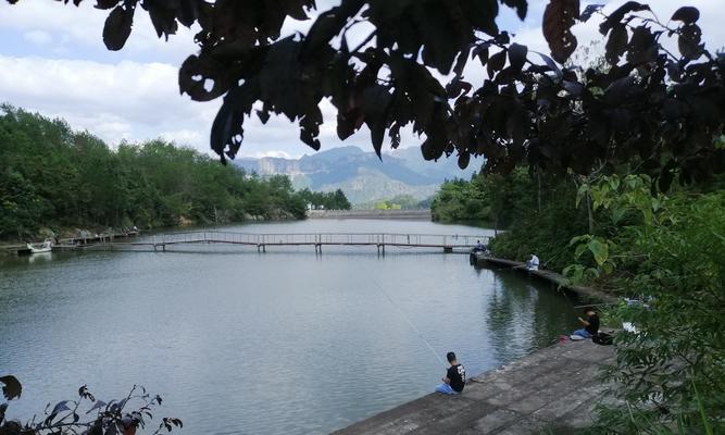 春季水库钓鱼时如何选择合适的钓具？有哪些高效的钓法技巧？