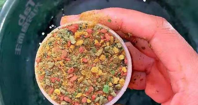 春季水库野钓如何开饵？掌握哪些钓鱼技巧能提高成功率？