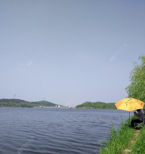 春季水库野钓如何开饵？掌握哪些钓鱼技巧能提高成功率？
