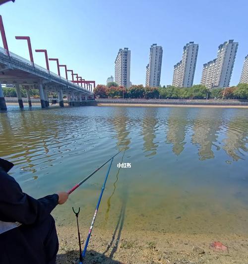 春季四月钓鱼技巧有哪些？如何应对四月钓鱼的常见问题？