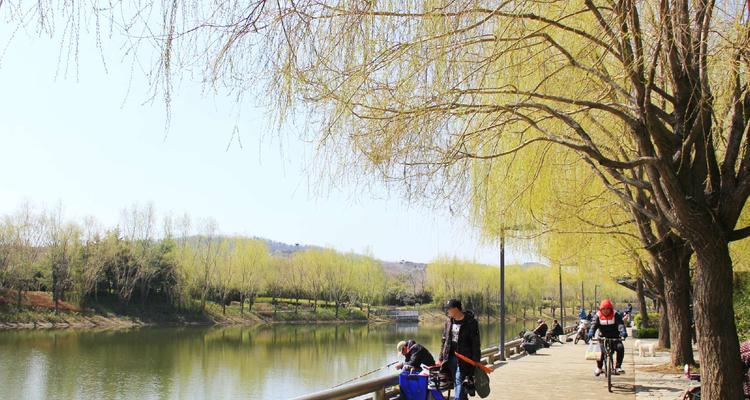 春季四月钓鱼技巧和方法是什么？如何提高钓鱼成功率？