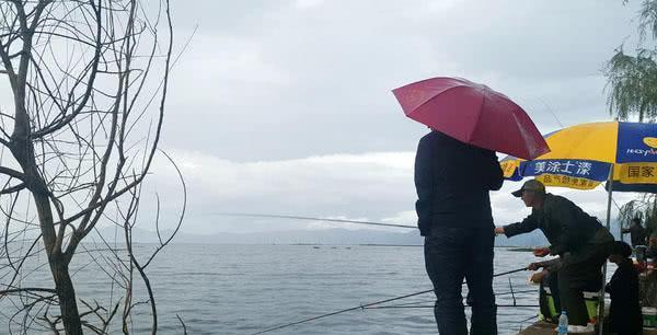 春季下雨钓鱼技巧有哪些？如何提高钓鱼成功率？