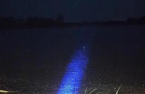 春季下雨天夜钓技巧是什么？如何应对雨天夜钓的挑战？