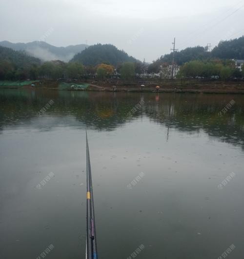 春季下雨天野钓应该注意什么？如何提高钓鱼技巧？