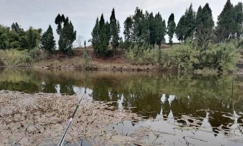 春季钓鱼天气如何选择？捕鱼技巧有哪些常见问题？