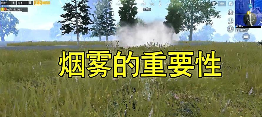 春季烟雾钓鱼方法和技巧是什么？如何提高春季烟雾钓鱼的成功率？