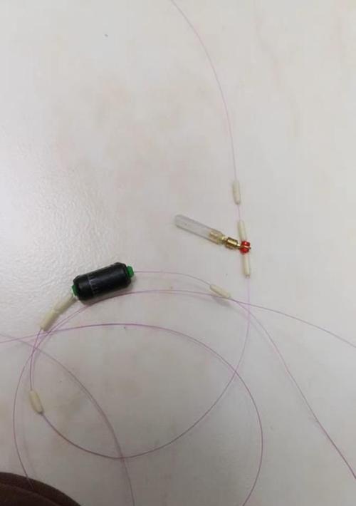 春季烟雾钓鱼技巧教程？如何提高春季烟雾天气下的钓鱼成功率？