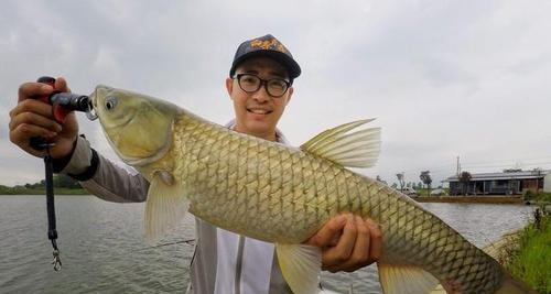 春季野钓钓鱼的技巧是什么？如何提高春季钓鱼的成功率？