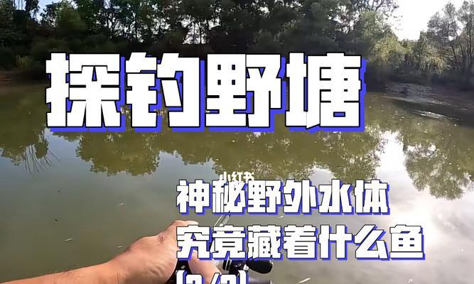 春季野塘钓鱼技巧有哪些？如何提高钓获率？