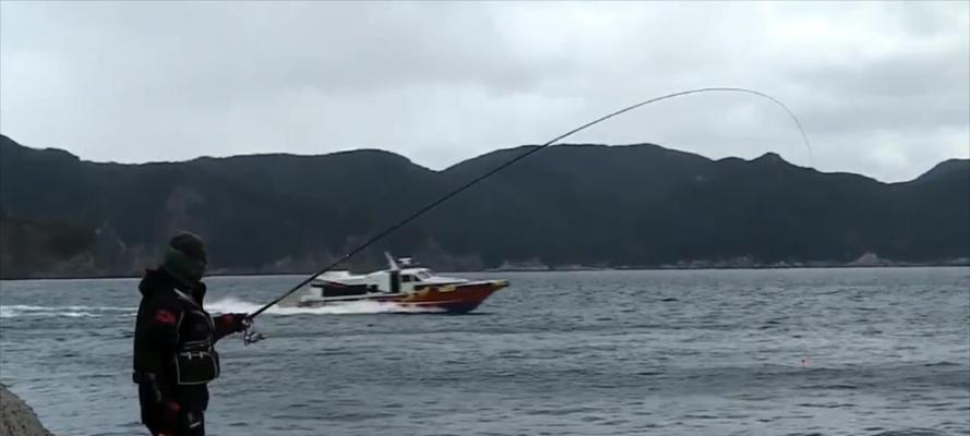 春季野鱼钓鱼技巧有哪些？如何提高春季钓鱼的成功率？