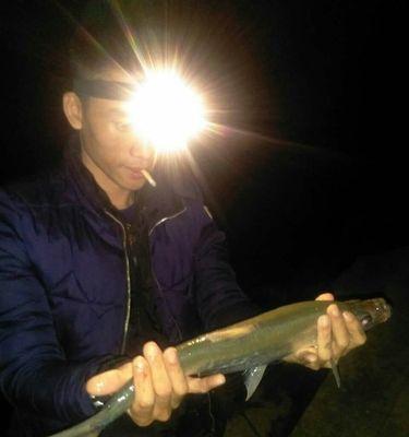 春季夜钓翘嘴技巧有哪些？如何提高钓获率？