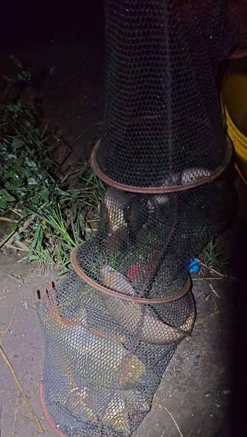 春季夜钓蚯蚓钓鱼技巧有哪些？如何提高夜钓蚯蚓的钓鱼效果？
