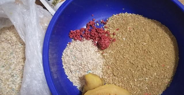 春季红薯钓鱼技巧有哪些？如何提高用红薯钓鱼的成功率？