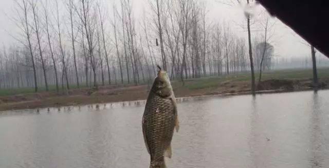 春季钓鱼如何使用蚯蚓？蚯蚓钓鱼漂相有哪些技巧？
