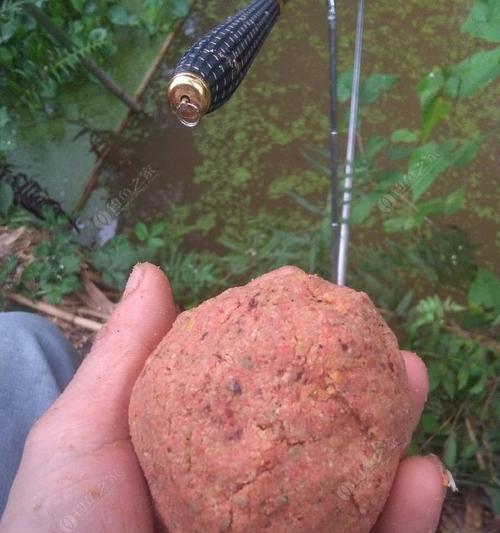 春季钓鱼如何开饵？有哪些有效的开饵技巧？
