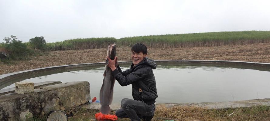 春季钓鱼如何成为鱼王？掌握哪些钓鱼技巧能提高成功率？