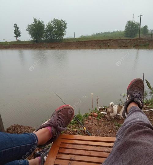 春季雨天野钓技巧有哪些？如何应对雨天钓鱼的常见问题？