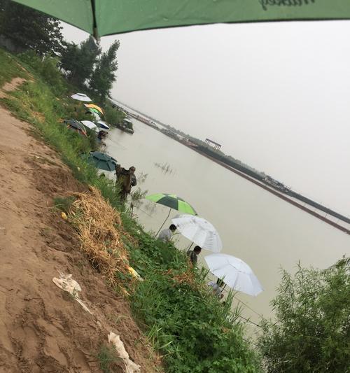 春季雨天野钓鱼技巧有哪些？如何应对雨天钓鱼的常见问题？