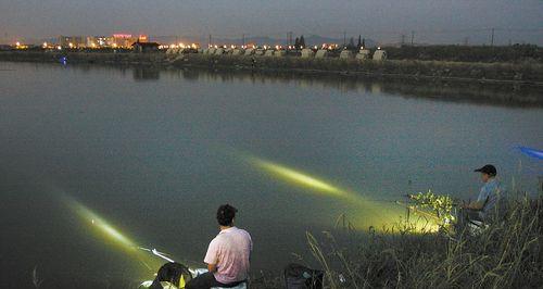 春季雨天夜钓技巧有哪些？如何提高夜钓成功率？