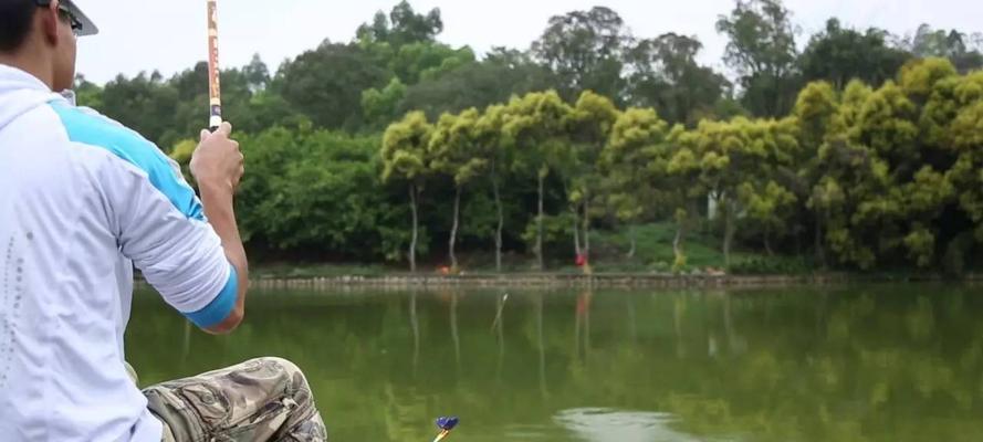 春季早晨钓鱼技巧有哪些？如何提高钓鱼成功率？