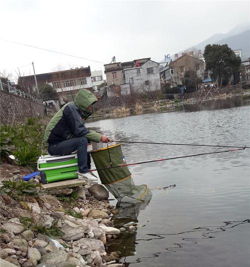 春节期间野钓鲫鱼如何打窝？有哪些有效技巧？