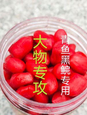 春节野钓商品饵技巧有哪些？如何提高钓鱼成功率？