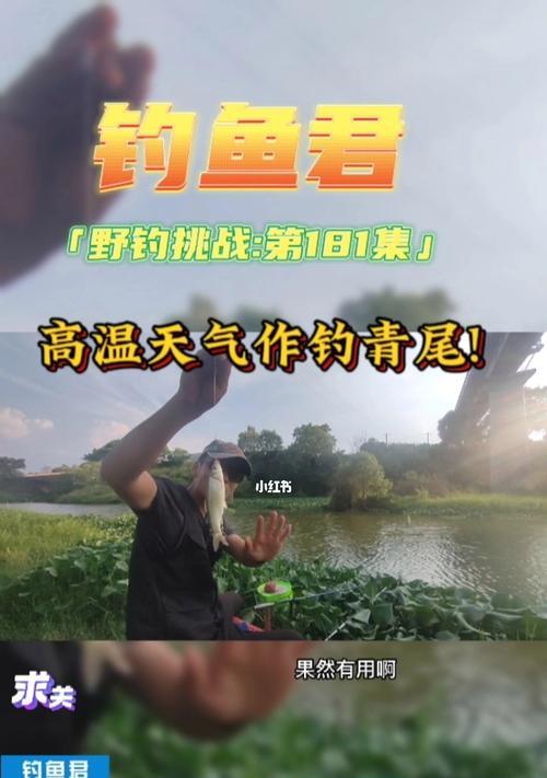 春来初夏钓鱼技巧有哪些？如何提高钓鱼成功率？