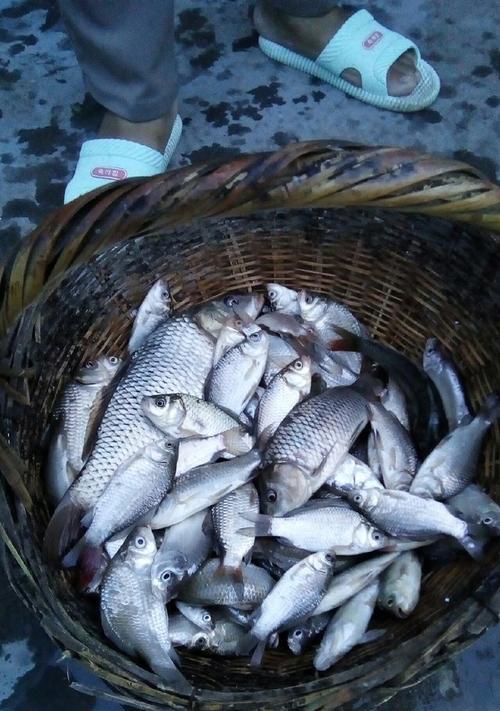 春雷阵钓鱼技巧有哪些？如何提高春雷阵钓鱼的成功率？