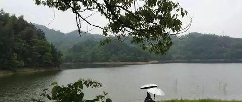 春末初夏钓鱼技巧有哪些？如何应对季节变化带来的挑战？