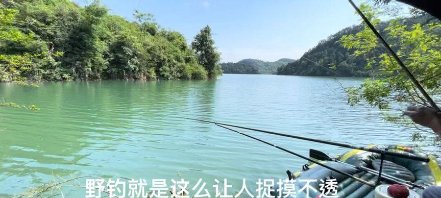 春末水库钓鱼技巧有哪些？如何提高钓鱼成功率？