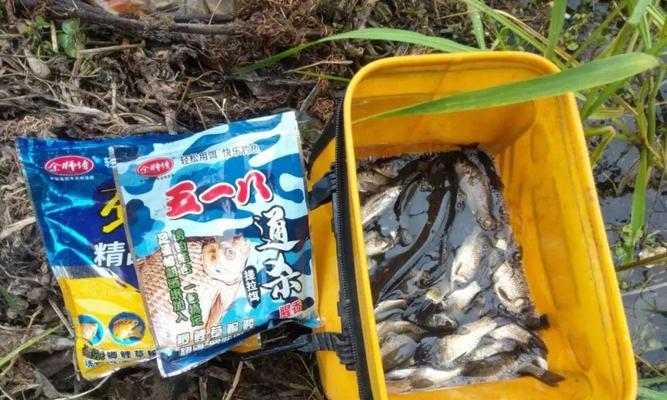 春末夏初湖库夜晚野钓技巧有哪些？如何提高夜晚野钓的成功率？