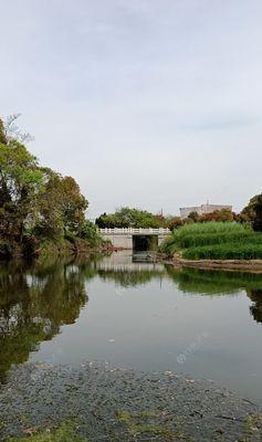 春暖花开钓鱼技巧教程？如何提高春季钓鱼成功率？