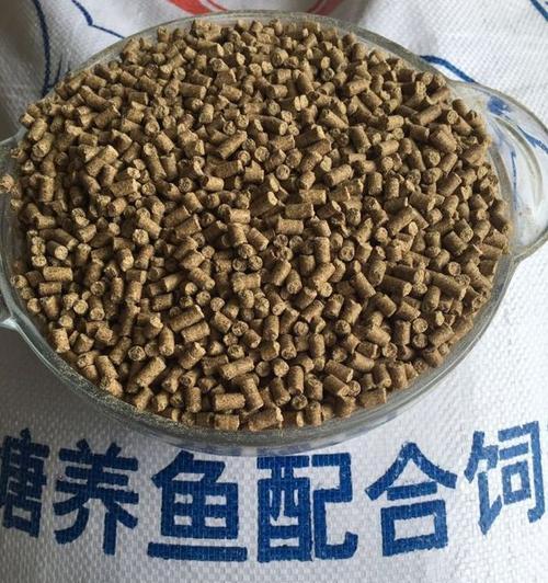 大豆饼钓鱼最佳用法和技巧是什么？如何提高钓鱼效率？