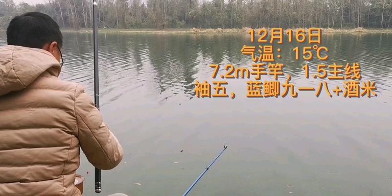 大飞铅钓鱼技巧有哪些？如何提高钓获率？
