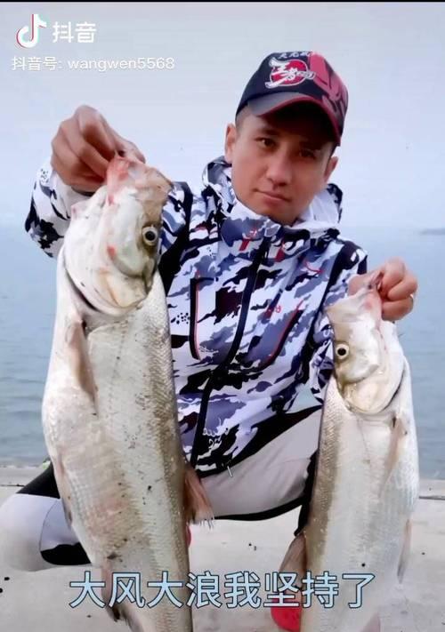大风钓鱼技巧教程？如何在强风中稳定钓竿？