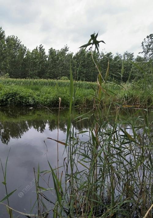 大风浪水域钓鱼技巧有哪些？如何应对恶劣天气条件下的钓鱼挑战？