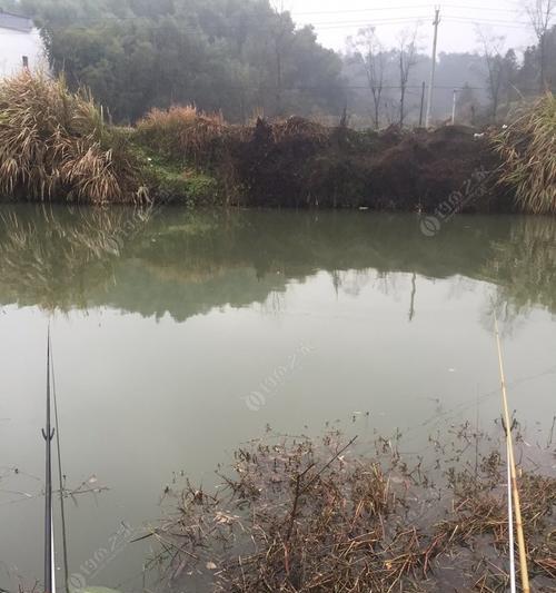 大风浪中钓鱼技巧是什么意思？如何安全有效地进行？