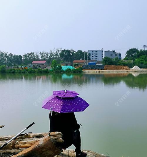 大风天垂钓技巧与方法是什么？如何在风大的天气中成功钓鱼？