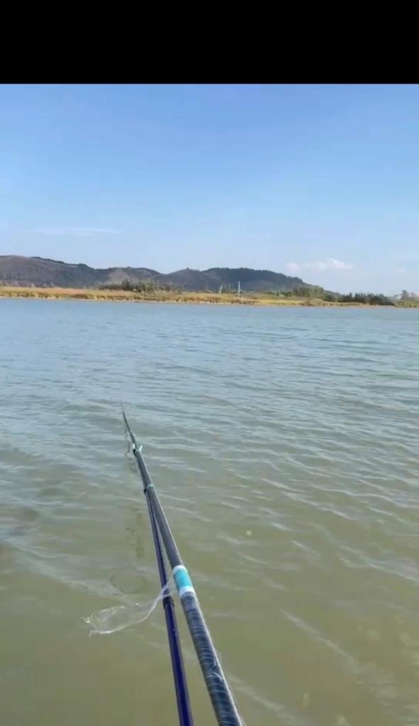 大风天钓鱼选位技巧是什么？如何应对风大时的钓鱼挑战？