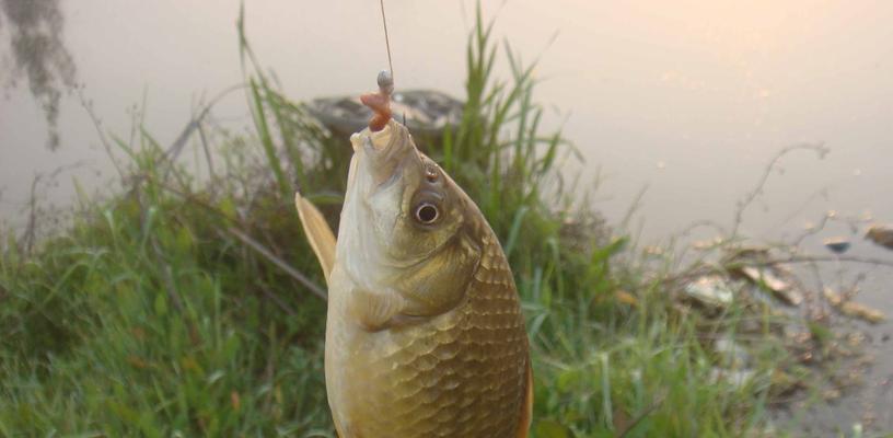 大风天气钓鱼技巧和方法？如何应对风大时的钓鱼挑战？