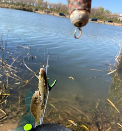 大风天气钓鱼技巧教学？如何应对风大时的钓鱼挑战？