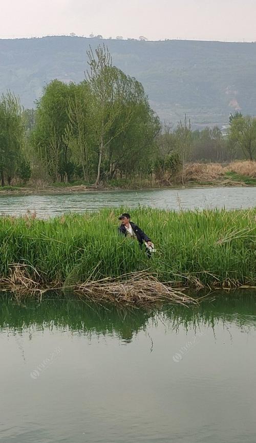 大风天气钓鱼有哪些技巧？如何应对风大时的钓鱼挑战？