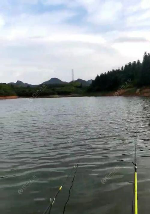 大风天水库钓鱼技巧是什么？如何应对风大时的钓鱼挑战？