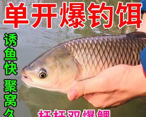 如何钓到大鲤鱼？掌握这些垂钓技巧教程了吗？