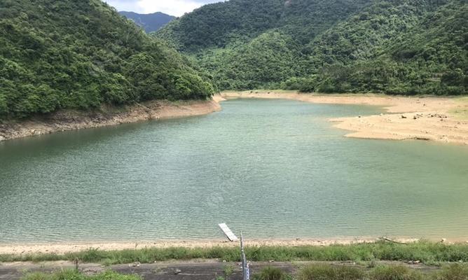 大关水库钓鱼技巧和方法有哪些？如何提高钓鱼成功率？