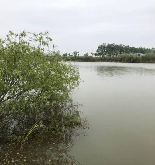 大海岔口钓鱼技巧是什么？如何在大海岔口成功钓鱼？