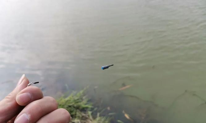 大海钓鱼调漂技巧教程？如何快速掌握正确的调漂方法？